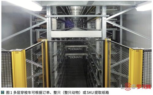 澳大利亞NCMC肉類(lèi)加工廠提高競(jìng)爭(zhēng)力的秘訣 自動(dòng)化物流系統(tǒng)與計(jì)算機(jī)系統(tǒng)集成服務(wù)